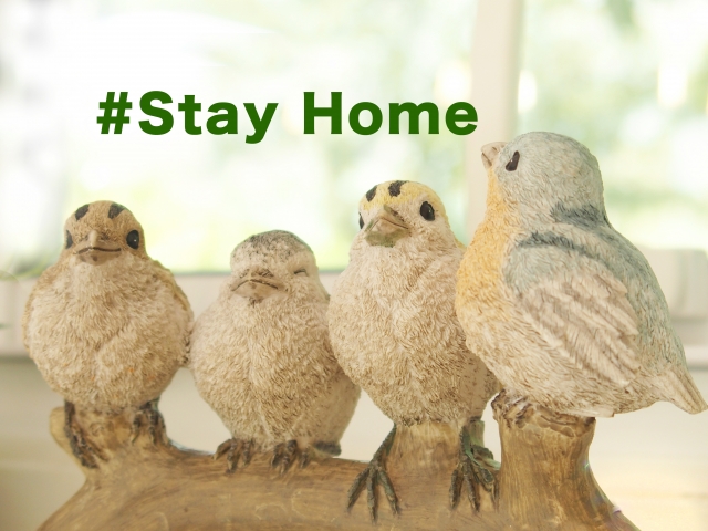 【巣ごもり】外出自粛は、片付けするビッグチャンス！2つの作戦で挑もう！！